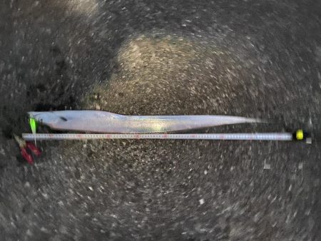 初ドラゴン！！