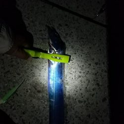 何とかタチウオ1尾ゲット