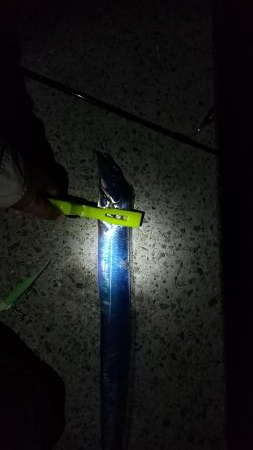 何とかタチウオ1尾ゲット