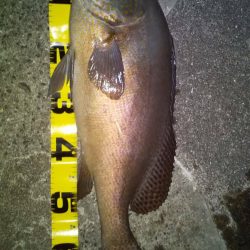 久しぶりの釣行