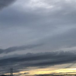 渋いし、涼しい