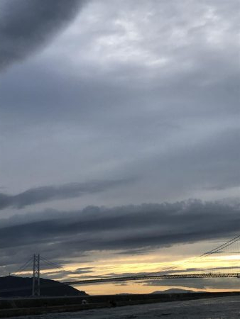 渋いし、涼しい