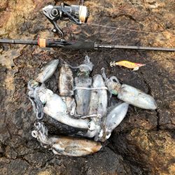 2020 佐渡ヶ島エギング 9回目