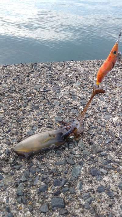 暑いなか何とか…