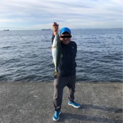 ポーアイ沖にてメジロ