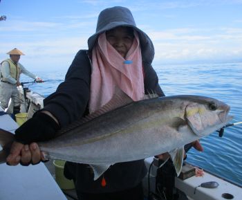 ネイリ・ハマチ釣り