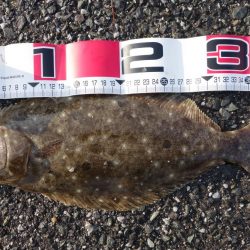 念願叶ったり！