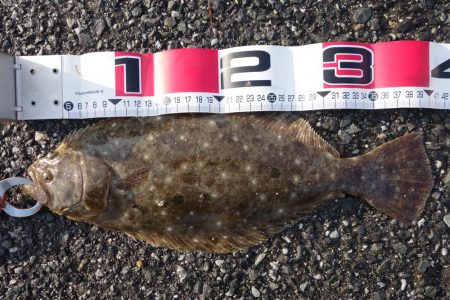 念願叶ったり！