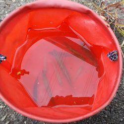 五目達成 ～小物釣り～