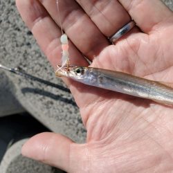 昼間の暑い中でも