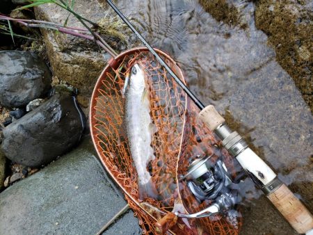 9寸止まりでした( ノД`)…