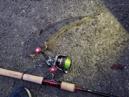 ふらっとフラット