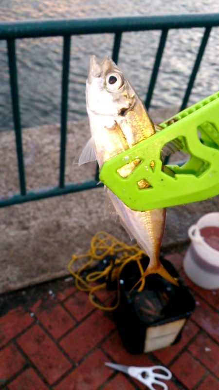 だいぶ涼しくなりました！