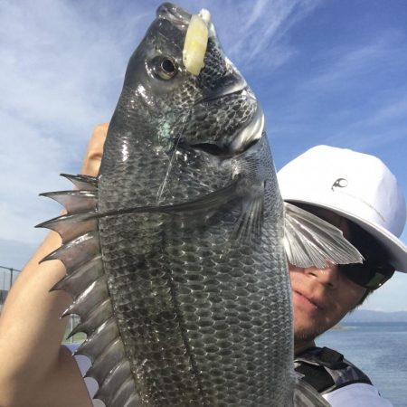 朝マズメのチヌ連続ライド!