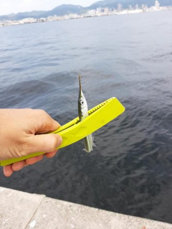 初和田防!魚種豊富!