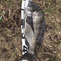 イチノ兄弟、釣果！