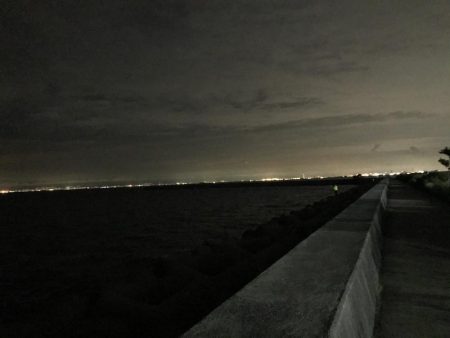 タチウオの反応なし