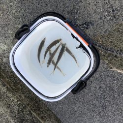 9月8日アミ姫良い！