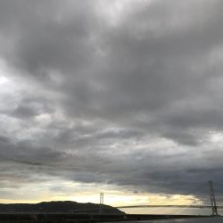 南風発生中、イワシ乱舞中