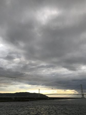 南風発生中、イワシ乱舞中