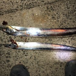 時合もろくに無く