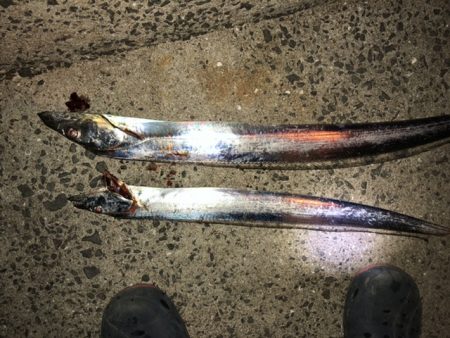 時合もろくに無く