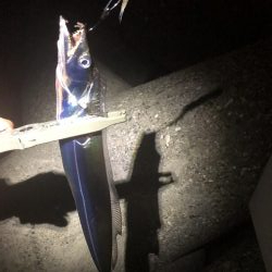 今シーズン初タチ！