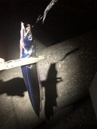 今シーズン初タチ！