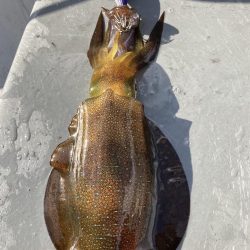 手漕ぎボートでティップラン