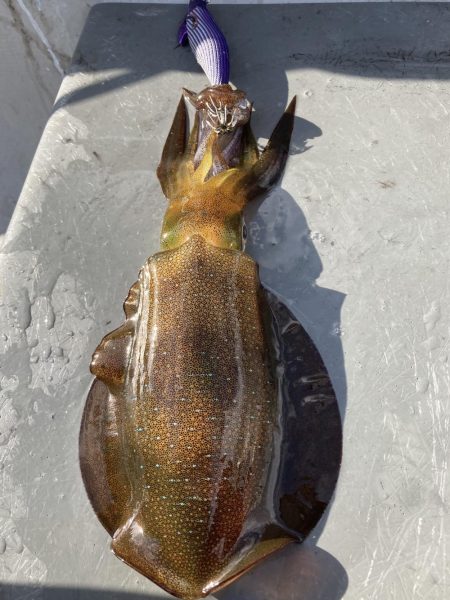 手漕ぎボートでティップラン