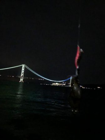 今年の初アオリ