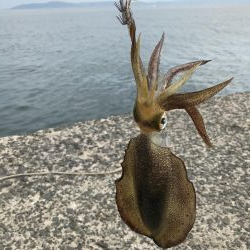 デイエギング 2