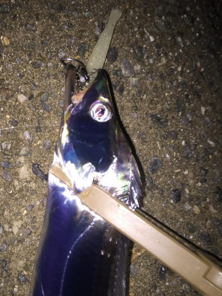 1ヶ月ぶり‼️…