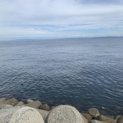 ショアジギング