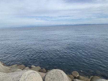 ショアジギング