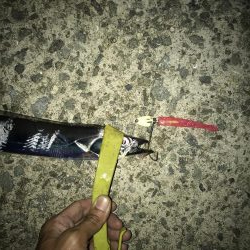 9月23日太刀魚元気