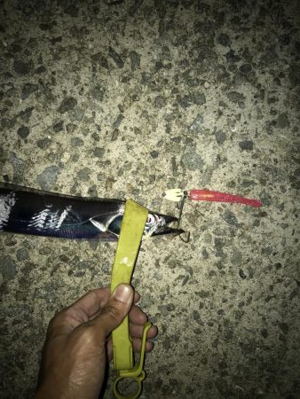 9月23日太刀魚元気