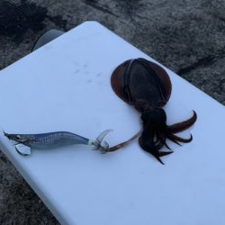 仕事終わりからの