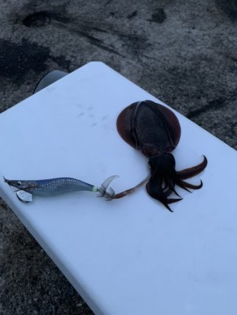 仕事終わりからの