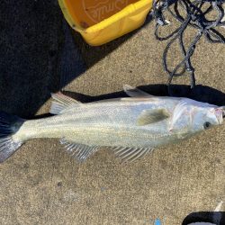 ファミリーフィッシングの合間に