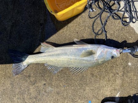 ファミリーフィッシングの合間に