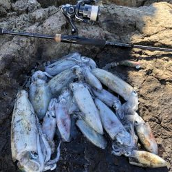 2020 佐渡ヶ島エギング 7回目