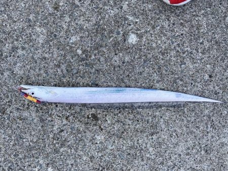 タチウオフィッシング