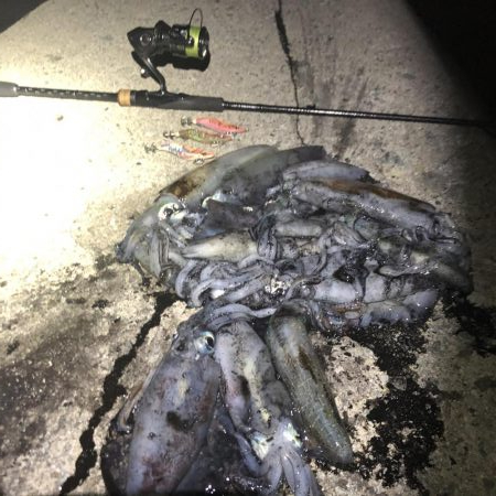 2020 佐渡ヶ島エギング 13回目