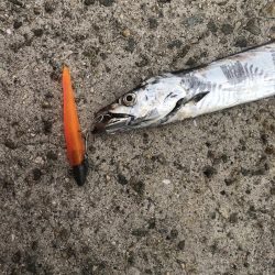 太刀魚ワインド