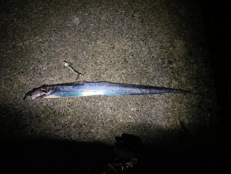 雨上がりでそこそこ活性たかった