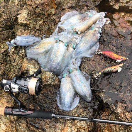 2020 佐渡ヶ島エギング 5回目