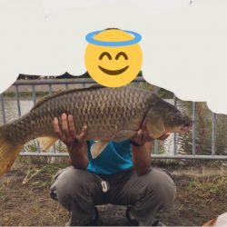 雨濁りのドブ川へ