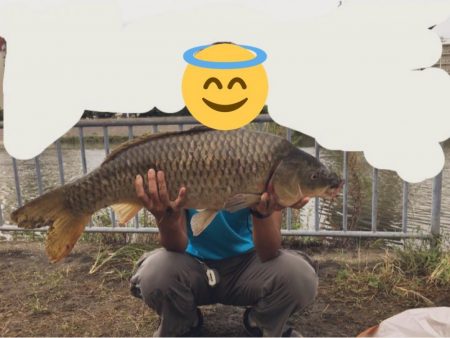 雨濁りのドブ川へ