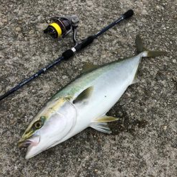 ブルーカレント3